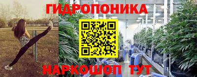 a pvp Краснознаменск
