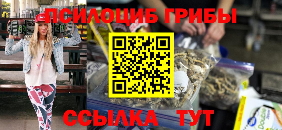 Псилоцибиновые грибы Psilocybe  Вход с VPN  Псилоцибиновые грибы Cubensis  Киселёвск 